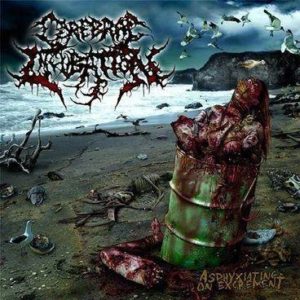 cerebral-incubation-asphyxiating-on-excrement