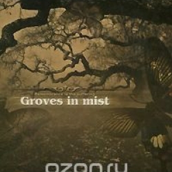 groves-in-mist-remembrance-is-the-suffering