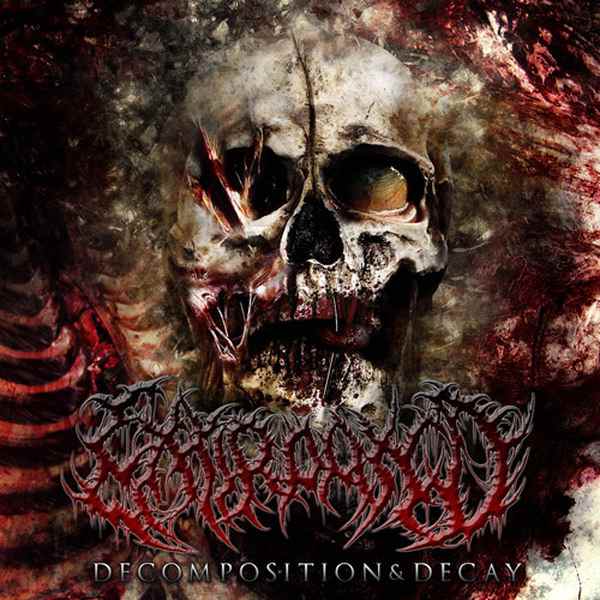 EXTIRPATED Decomposition & Decay