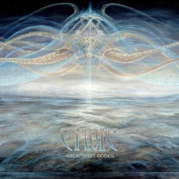 cynic-ascension-codes